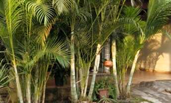 Imagem 3: Casa de condomínio 2/4 - Condomínio Costa Verde - Parq. Ind. João Braz