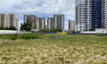 Imagem 4: Terreno na Farolândia