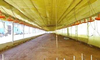 Imagem 6: Fazenda com 9 dormitórios à venda, 5832200 m² por R$ 14.000.000,00 - Vila Santista - Serra