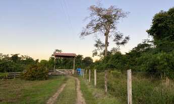 Imagem 3: Vende se chácara 9,5 Hectares