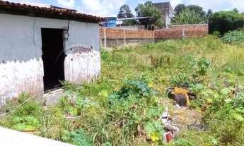 Imagem 6: Aracaju - Terreno Padrão - América