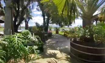 Imagem 4: Fazenda a venda!!