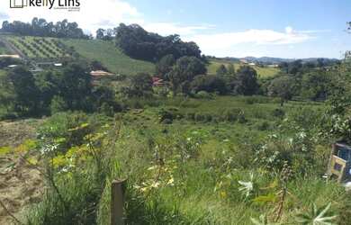 Imagem 6: Excelente chácara a venda na cidade de Socorro, interior de São Paulo, com área total de 8