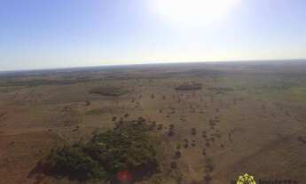 Imagem 5: Fazenda à venda, 3.458 Hectares em Pium/TO