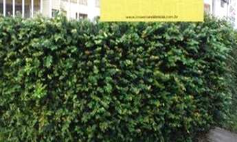 Imagem 2: Casa com 2 dormitórios à venda, 147 m² por R$ 477.000,00 - Vila Cecília Maria - Santo Andr