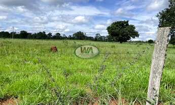 Imagem 3: Fazenda com dupla aptidão e ótimo preço
