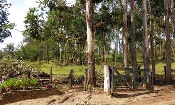 Imagem 7: EXCELENTE OPORTUNIDADE EM CAMPINAS