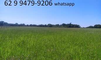 Imagem 5: Chacara em Guapo 15 mil de entrada a 35 km de Goiania 30 km da Eternit terra plana aceito