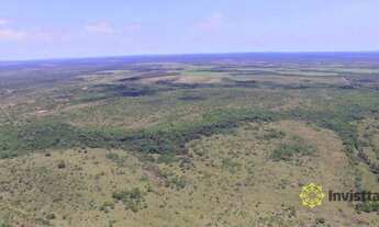Imagem 5: Fazenda à venda, 4.000 Hectares em Goianorte/TO