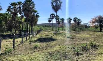 Imagem 5: Fazenda 2.700 Hectares Corumbá MS