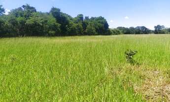 Imagem 3: Chacara em Guapo 15 mil de entrada a 35 km de Goiania 30 km da Eternit terra plana aceito