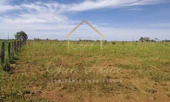 Imagem 4: Vendo ampla fazenda no município de Planalto Da Serra