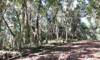 Imagem 3: Belíssimo Terreno no Residencial SAUSALITO!