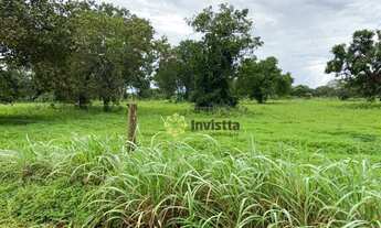Imagem 2: Fazenda aberta à venda 350 Hectares em Paraíso do Tocantins/TO