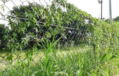 Imagem 6: Terreno à venda, 2032 m² por R$ 1.800.000,00 - Jardim Campo Limpo - São Paulo/SP