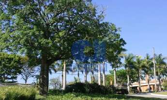 Imagem 5: Terreno à venda, 597 m² por R$ 2.200.000,00 - Alphaville 0 - Santana de Parnaíba/SP