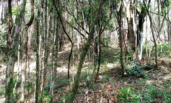 Imagem 3: BRUMADINHO - Terreno Padrão - Recanto Da Serra