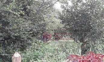 Imagem 3: Terreno à venda, 5000 m² por R$ 420.000,00 - Goiabal - Pindamonhangaba/SP