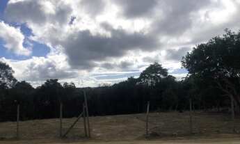 Imagem 4: Chácara 4500metros quadrados - Porto Dourado