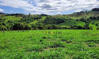 Imagem 5: Maravilhoso terreno a venda na cidade de Socorro, com área de 54.000 m², formado em pasto