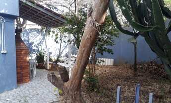 Imagem 4: Predio Comercial Taboão da Serra