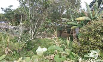 Imagem 6: Casa com 3 dormitórios à venda em um terreno de 1450m² por R$ 1.490.000 - Palhocinha - Gar