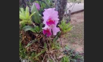 Imagem 2: Chácara com 3 dormitórios à venda, 2520 m² por R$ 825.000,00 - Residencial Sete Quedas - I