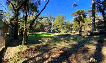 Imagem 11: Terreno à venda, 800 m² por R$ 1.272.000,00 - Planalto - Gramado/RS