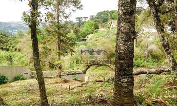 Imagem 6: EXCELENTE OPORTUNIDADE DE NEGÓCIO, ÓTIMO TERRENO À VENDA!!!