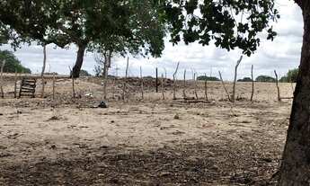 Imagem 4: Vendo, troco ou arrendo sítio em lagoa limpa