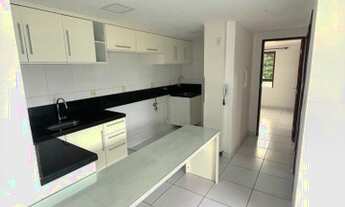 Imagem: Apt projetado para aluguel com 50 metros