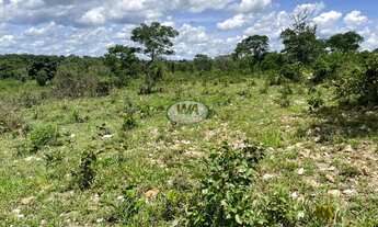 Imagem 2: Fazenda as margens da BR 153