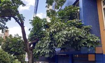 Imagem 6: Loja para alugar, 80 m² por R$ 3.900,00/mês - Funcionários - Belo Horizonte/MG