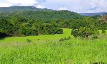 Imagem: Sítio à venda, 130 Hectares - Zona Rural