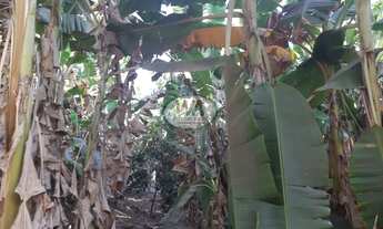 Imagem 2: Fazenda a venda no Tocantins em Dois do Tocantins