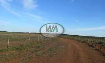 Imagem: Fazenda no ponto de entrar plantando lavoura