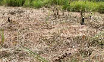 Imagem 2: Lote/Terreno para venda possui 600 metros quadrados com 1 quarto em Rio Acima - Mairiporã