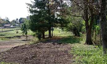 Imagem 4: Chácara/ sitio/ área a venda quatro barra