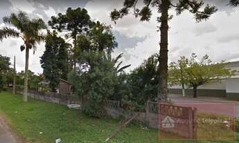 Imagem 4: Terreno para Venda em Curitiba, Hauer