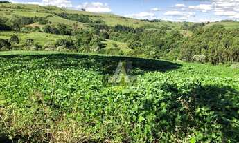 Imagem 6: SÍTIO DE 20 ALQUEIRES