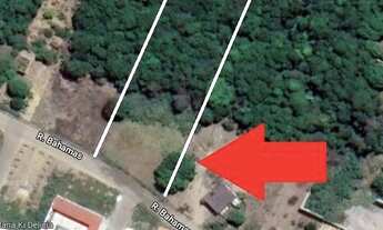 Imagem 5: Chácara 4500metros quadrados - Porto Dourado