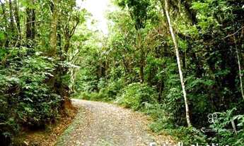 Imagem: Terreno à venda, 960 m² por R$ 450.000,00