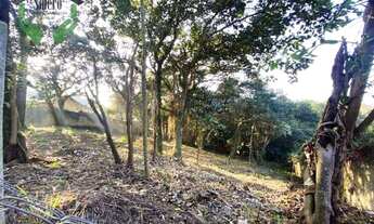 Imagem 6: Terreno à venda, 2334 m² por R$ 980.000,00 - Granja Viana - Cotia/SP