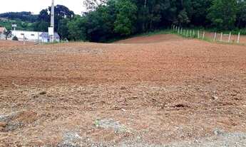Imagem 4: Lote/Terreno para venda com 2000, metros quadrados em Estação - Araucária - Paraná