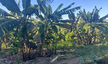 Imagem 6: Vende se chácara 9,5 Hectares