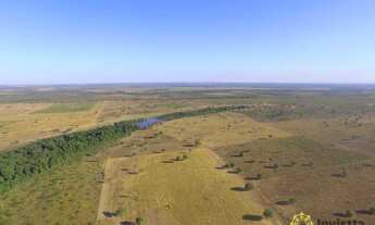 Imagem 3: Fazenda à venda, 3.458 Hectares em Pium/TO