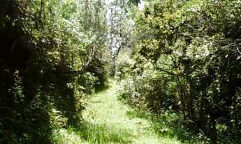 Imagem 4: área rural, 400.000m2, São Pedro de Alcântara/SC