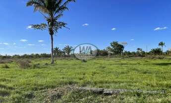 Imagem 3: Fazenda para pecuária a venda em Santana do Araguaia- TO