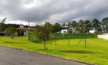 Imagem 4: Lote em condomínio - Árvores