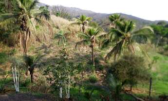 Imagem 6: Sítio Chácara com venda por R$165.000